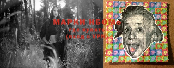 стаф Арсеньев